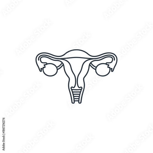 Simplified Illustration of Female Reproductive System with Ovaries and Uterus