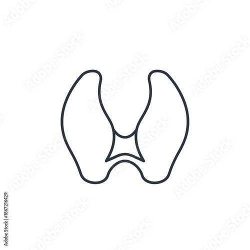 Minimalist Outline of a Human Pelvic Bone in Simple Line Art Style