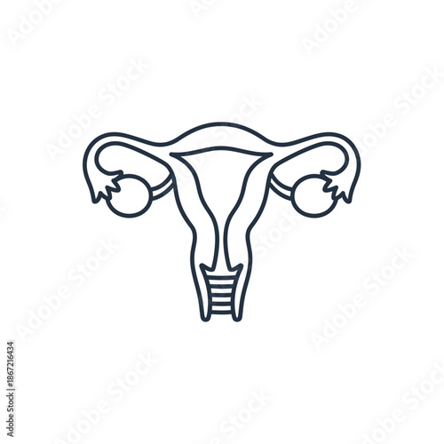 Simplified Line Drawing of Female Reproductive System with Ovaries and Uterus