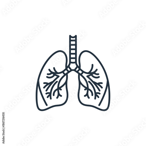 Minimalistic Line Drawing of Human Lungs with Detailed Bronchial Tree