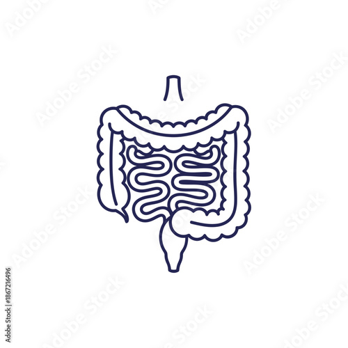 Simplified black and white illustration of human digestive system highlighting