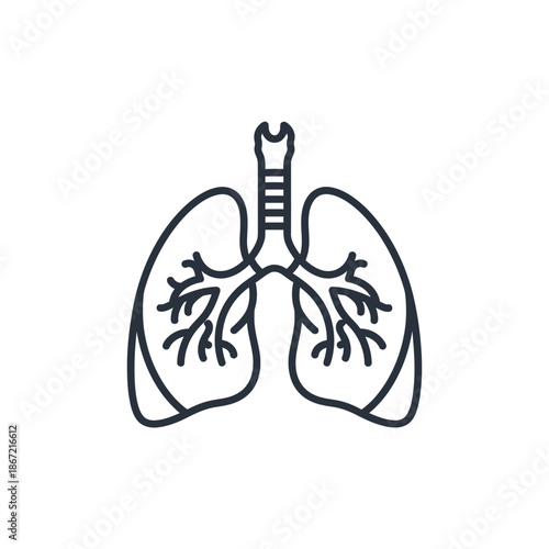 Minimalist Illustration of Human Lungs with Trachea and Bronchi in Line Art