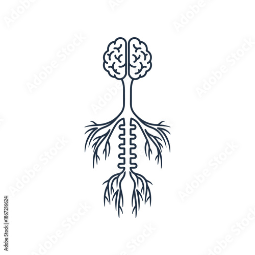 Abstract Neurovascular Connection Depicting Brain and Nervous System Pathways