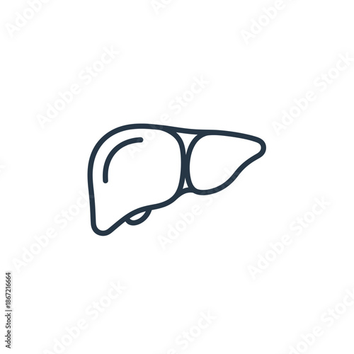 Minimalist Line Drawing Illustration of a Human Liver for Medical or Art Use