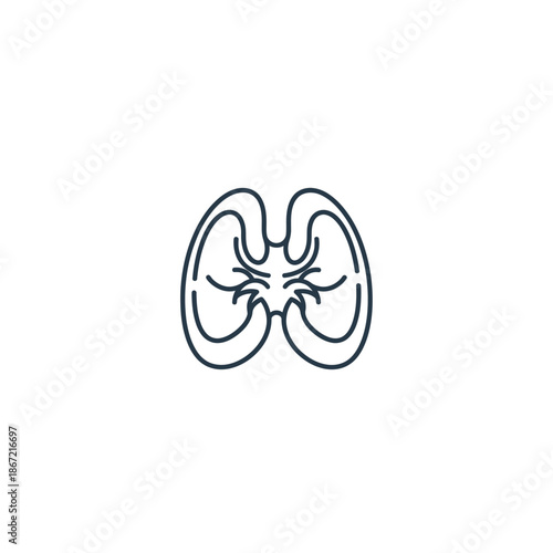 Minimalist Illustration of Human Kidneys Emphasizing Urinary System Anatomy