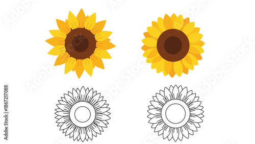 Vibrant sunflowers in full bloom with line art versions