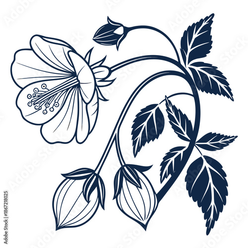 Abutilon Flowers with Bell Petals and Serrated Leaves