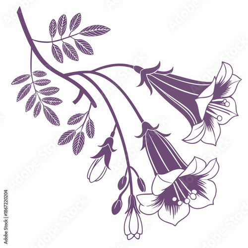 Jacaranda Flowers with Bell Petals and Veined Leaves