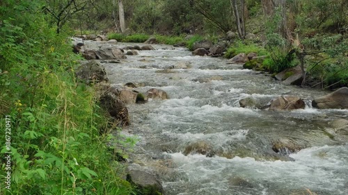A fast-flowing water stream between rocky shores and boulders. Beautiful mountain river and forest landscape.