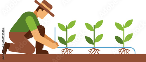 A farmer installs a drip irrigation system, showcasing efficient water management. Clear, bright illustration for agricultural themes. Perfect for educational or promotional materials.