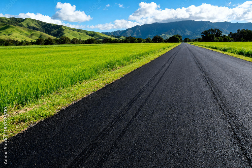 Fototapeta premium Asphalt Road Through Lush Green Fields and Mountains