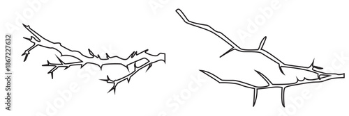 Thorny Branch icon. Collection of black thorny branch silhouettes isolated on white background, useful for dark design, botanical themes, decoration, or abstract nature concepts.

