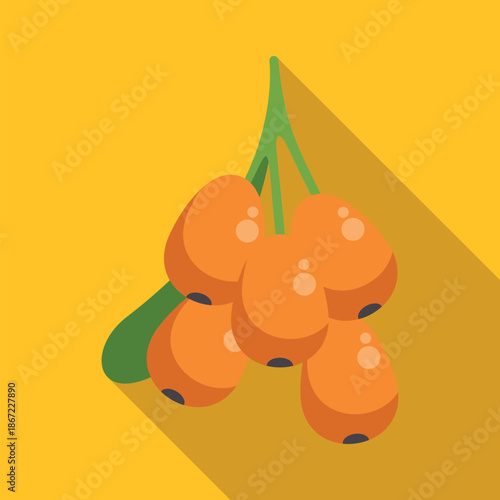 Sea buckthorn berries branch showing its orange fruits with a long shadow