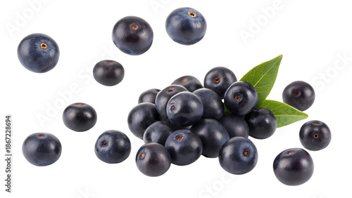 Fresh and vibrant acai berries scattered against a dark background with green leaves