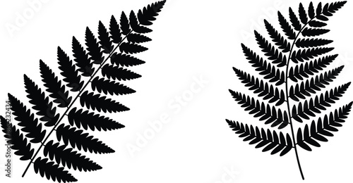 Black fern leaf silhouette vector set, tropical forest plant frond illustrations for nature and botanical design