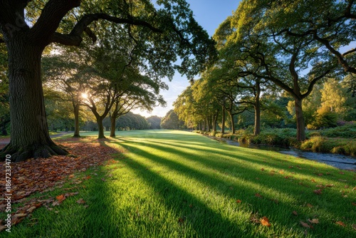 a large park with trees and grass, sunlight shining through the leaves onto the green lawn, creating long shadows on it.