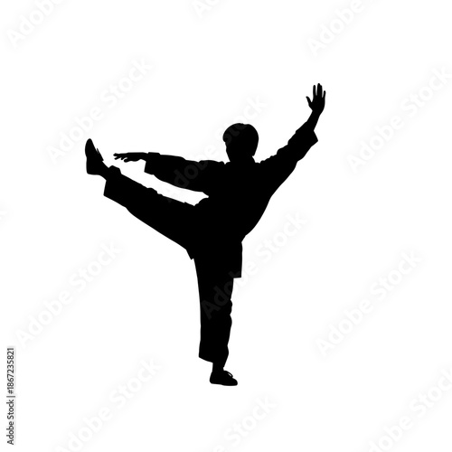 Silhouette of a martial artist in a dynamic pose.