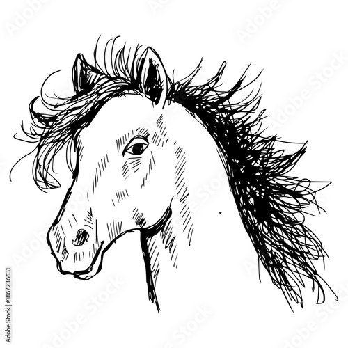Horse head with long mane. Hand drawn vector illustration.