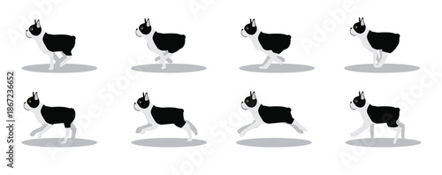 Boston Terrier Running Side Cartoon Animation Frame Vector