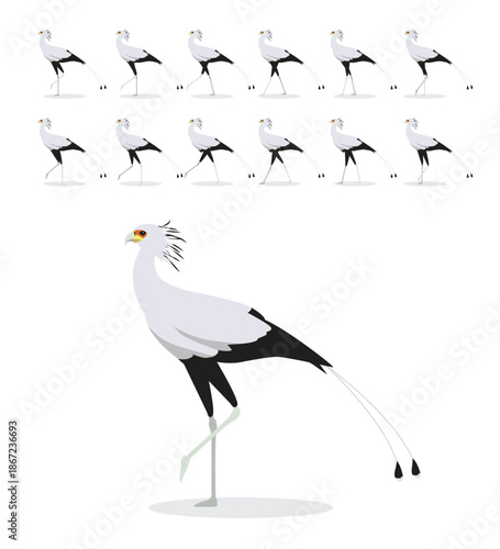 Secretarybird Walking Motion Animation Sequence Cartoon Vector Illustration