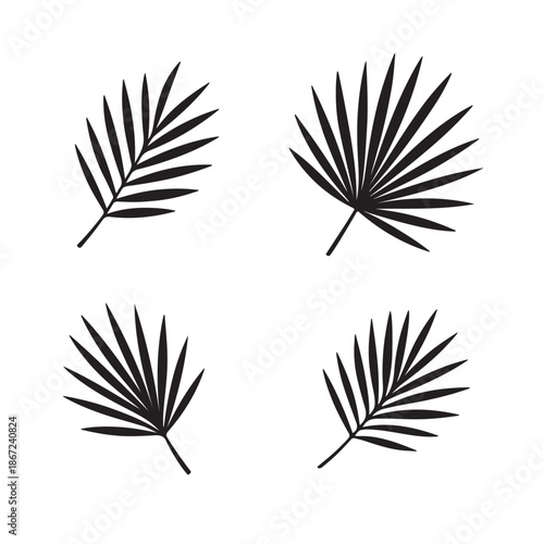 Set of silhouette vector palm leaf icon. Summer tree palm leaf design concepts.