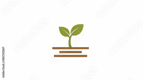 Green plant sprout from book pages.