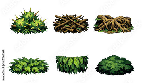 Collection of various bushes and plants with unique leaves and structures