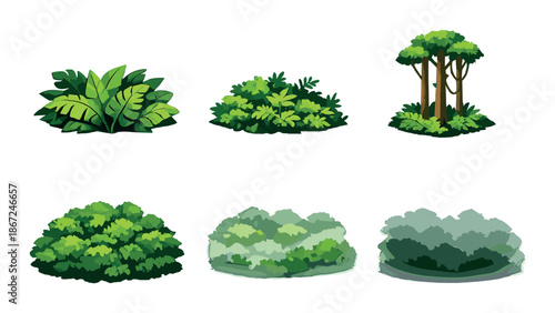 Variety of green foliage and trees with different shapes on a green gradient background