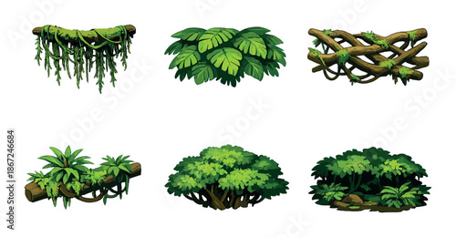 Lush green foliage: six varieties of vibrant jungle plants