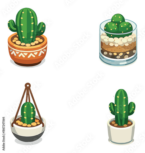 Four cute cacti arrangements in various pots and terrarium