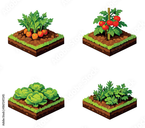 Isometric vegetable garden with tomatoes, carrots, lettuce, and herbs