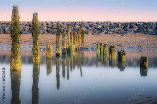 Wooden Groynes Reflected in Calm Water at Low Tide