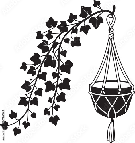 Black and White Illustration of Ivy Vine in Macrame Hanging Plant Holder