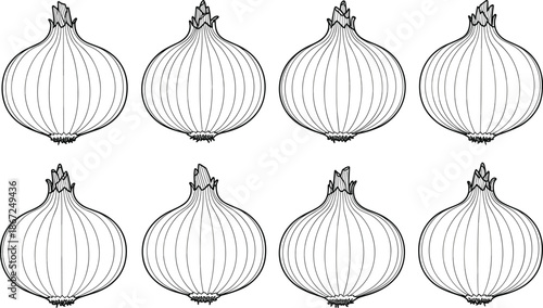 Fresh Whole Onion Vegetable Outlines Set for Healthy Food Illustrations and Coloring Books, CAD Drawing Flat Vector Illustration, Organic Produce
