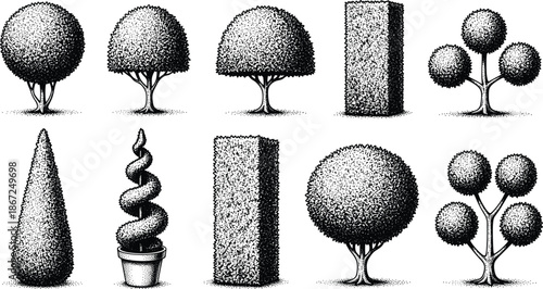 Topiary Garden Tree Collection for Landscape Design and Architectural Visualization, CAD Drawing Flat Vector Illustration, Manicured Bush and Hedge Set