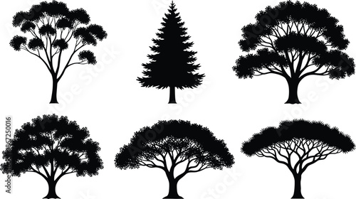 Tree silhouettes collection, various deciduous and conifer trees, natural forest elements, botanical shapes, black isolated vector illustration, set, design, bundle