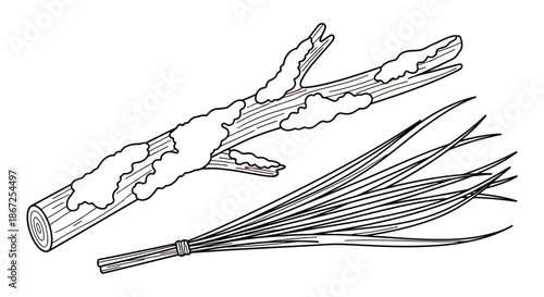 Natural elements display a lichen covered wooden branch and tied bundle of grass.