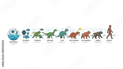Evolution of Life on Earth from Dinosaur to Human Illustration