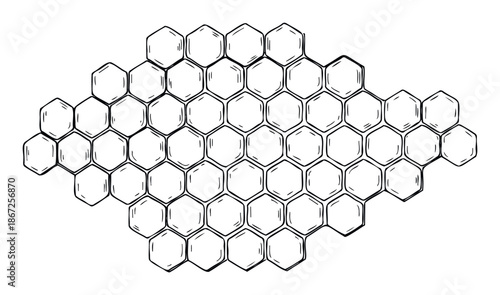 Abstract handdrawn hexagonal honeycomb cell structure perfect for creating natural organic backgrounds, scientific textures, or packaging print designs