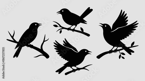 a minimalist illustration depicting four silhouetted birds perched on delicate branches creating an elegant and naturalistic scene with avian grace high quality professional detailed modern stylish