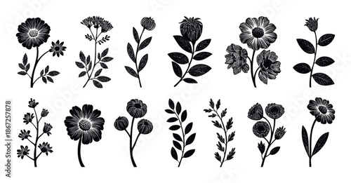 Collection of diverse stylized flower and plant motifs in a classic woodcut print style perfect for rustic decor fabric prints invitations and natural branding projects