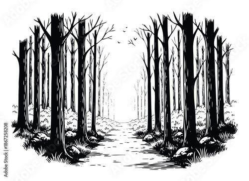 Monochromatic drawing of a winding forest path disappearing into the distance, flanked by tall silhouetted trees and dense undergrowth, perfect for nature themed publications and adventure