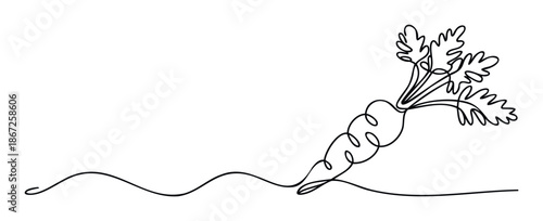 Elegant minimalist continuous line drawing showcasing a fresh garden carrot with its vibrant green leaves, perfect for healthy food campaigns, vegetarian lifestyle content, or organic