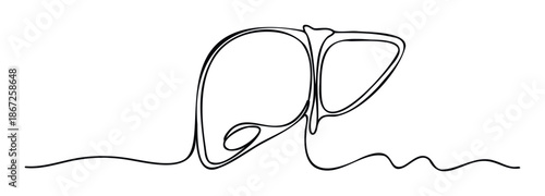 Abstract flowing line drawing depicting an internal organ suitable for medical branding, health education materials, or modern wellness promotion