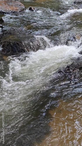 Dynamic River Water Flow Showing Rapid Movement With Splash And Foam Over Wet Stone Rock Surface Creating Peaceful Nature Energy In Cold Clear Mountain Stream Forest Environment Outdoors