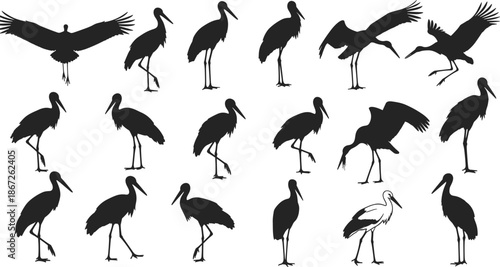 stork, bird, birds, silhouette, wildlife, animal, nature, heron, crane, wading, flying, standing, pose, collection, set, vector, illustration, black, white, isolated
