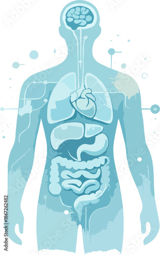 Human torso anatomy medical blue theme