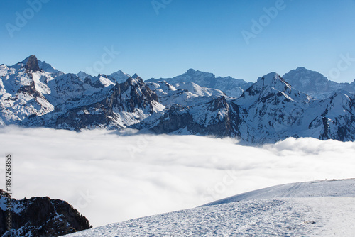 Majestic view of snow-cover...