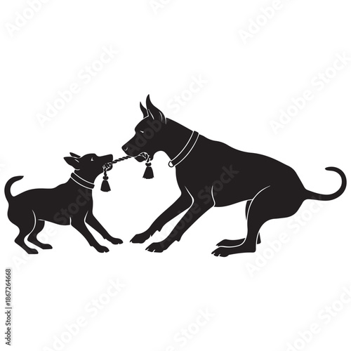 Two dogs playing tug of war with rope toy