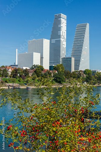 Stadtansicht von Basel mit Roche Tower und Rhein, Schweiz